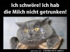 weiter