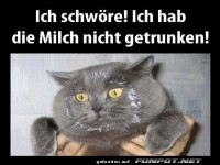 Ich schw�re