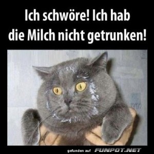 Ich-schw�re.jpg von Josie-96