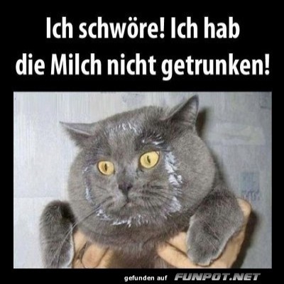 Ich-schw&ouml;re.jpg von Josie-96