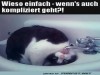 weiter