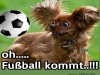 weiter