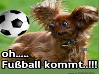 oh..... Fu�ball kommt...!!!