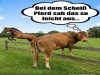 weiter