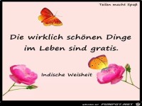 die wirklich sch�nen Dinge