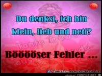 Boeser Fehler