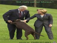 bill