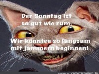 Der Sonntag ist so gut wie rum