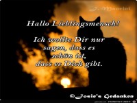 Hallo Lieblingsmensch