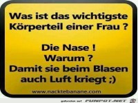 Das wichtigste K�rperteil der Frau