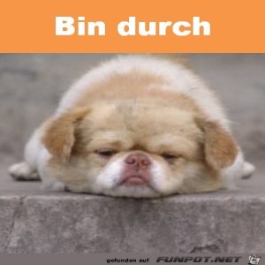 Begrüßungsbild