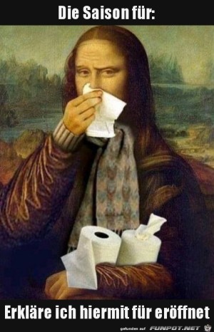 Heuschnupfen-Saison.jpg auf www.funpot.net