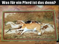 Komisches Pferd