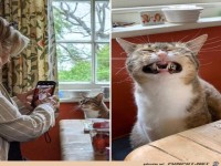 Foto-Gesicht