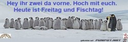 Fischtag.jpg auf www.funpot.net