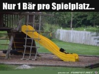Ein B�r pro Spielplatz