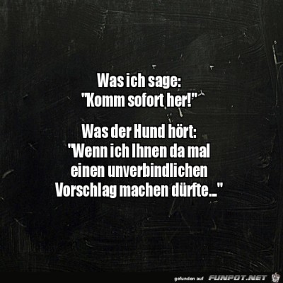 Was-der-Hund-hört.jpg von Hannah