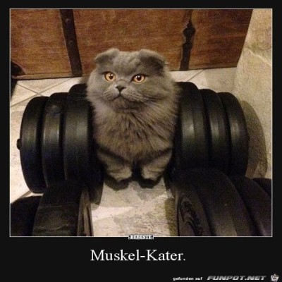 Muskelkater.jpg von Clara