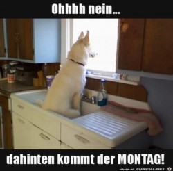 Der-Montag-kommt.jpg auf www.funpot.net