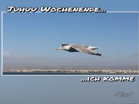 Wochenende ich komme