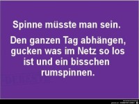 Spinne