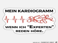 Mein Kardiogramm