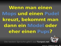 Gute Frage
