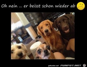 Verzweifelte-Blicke.jpg auf www.funpot.net