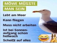 M�we m�sste man sein