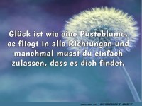 Gl�ck und Pusteblumen