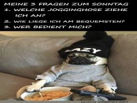 Lustiger Sonntags-Meme mit fauler Pug