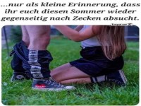 Erinnerung zur Zeckenkontrolle im Sommer