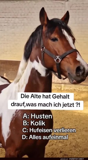 Pferd-mit-witzigem-Text.jpg auf www.funpot.net