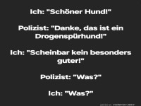 Lustiger Dialog mit Drogenhund