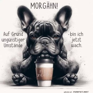 Begrüßungsbild