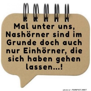 Humorvoller-Vergleich-von-Nashrnern-und-Einhrnern.jpg von Pascal-1968