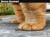 weiter