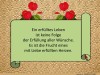 weiter
