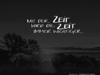 Zeitmanagement fr Pferdefreunde