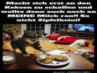 Kekskrieg unterm Weihnachtsbaum