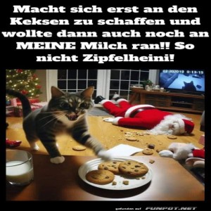 fun-Bild: Kekskrieg unterm Weihnachtsbaum