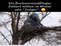 Abenteuer im Baumhaus der Fantasie