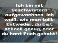 Geschwister teilen: Ein �berlebensguide!