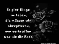 Rosen-Blues im Lebenssturm