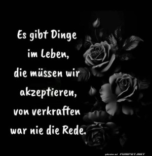 Rosen-Blues-im-Lebenssturm.jpg auf www.funpot.net