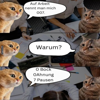 Warum-die-Katze-ein-007-Agent-ist.jpg von Sophie48