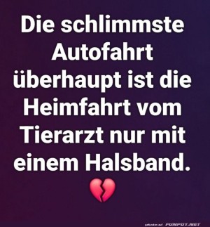 Warum-Halsb�nder-allein-nicht-tr�sten-k�nnen.jpg auf www.funpot.net