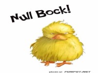 Lustloser Entenblick: Null Bock!