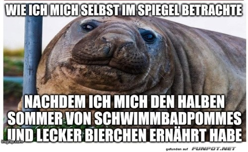 Sommer-Diät:-Ein-Spiegelbild-der-Wahrheit.jpg auf www.funpot.net
