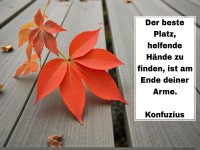 der beste platz